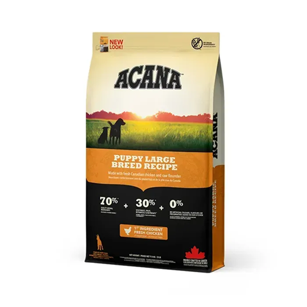 Dogs food