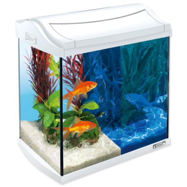 Tetra AquaArt LED Akvārijs Goldfisf 30L(Balts)