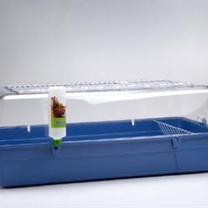 Terārijs trušiem.Rody Cavia