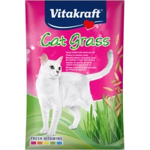 Cat grass – refill
