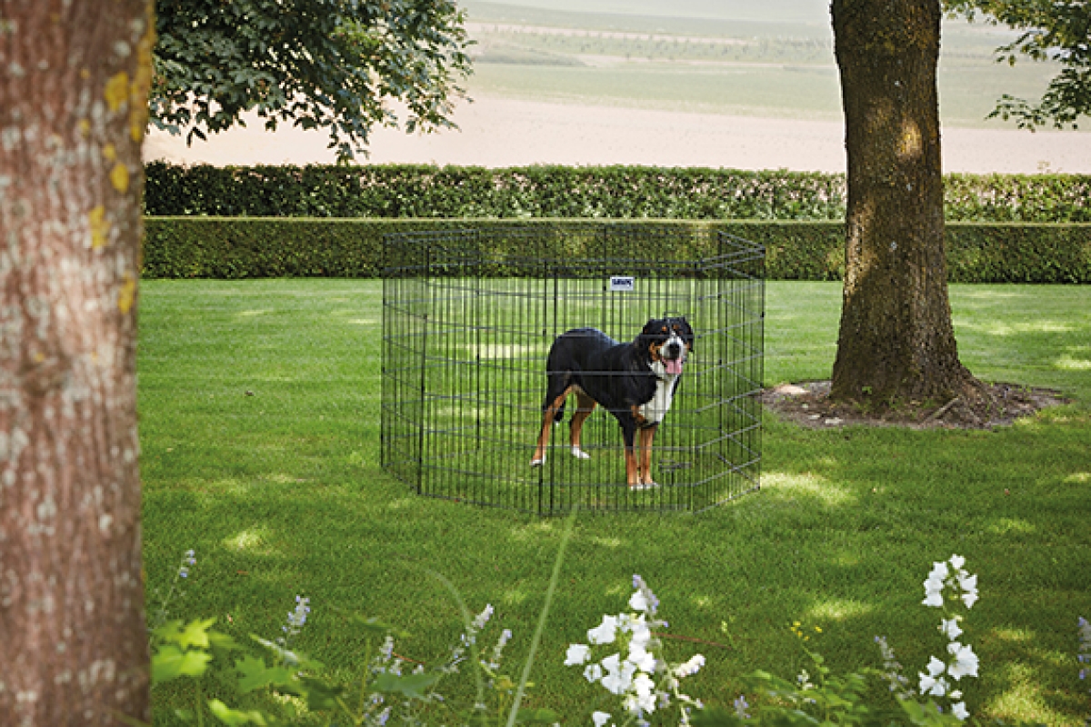 Nožogojums suņiem Dog Park 3 (110x62x7)