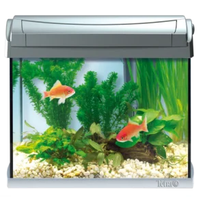 Tetra AquaArt LED Akvārijs Goldfish 20L