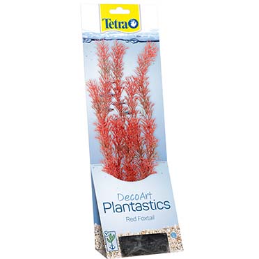Tetra Red Foxtail S