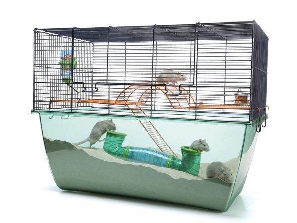 Būris grauzējiem Habitat XL