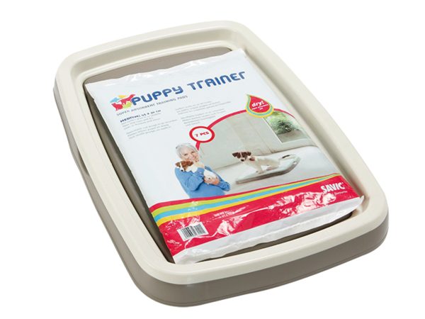 Large Puppy Toilet