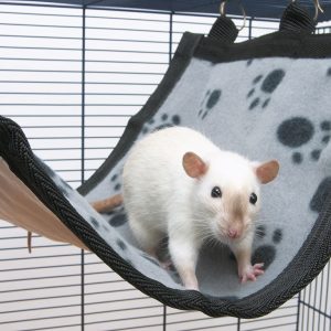 Relax de Luxe Flat Rodent House M