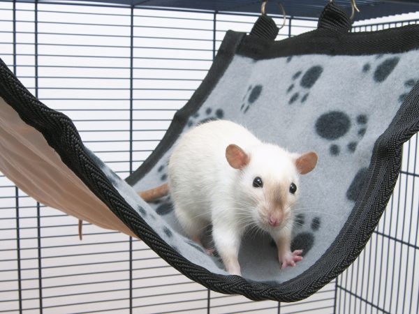 Relax de Luxe Flat Rodent House M