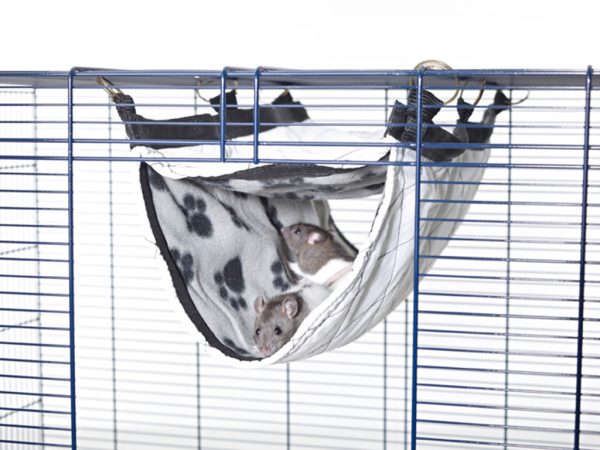 Relax de Luxe "Tunnel" house for rodents L