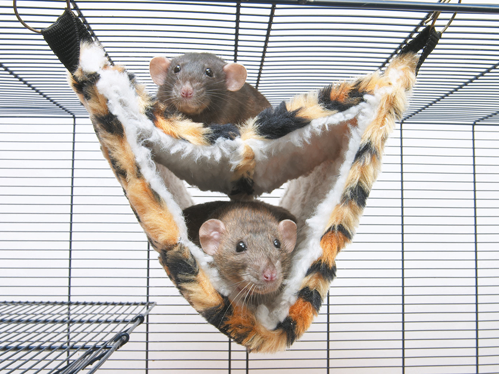 Relax de Luxe faux fur house for rodents