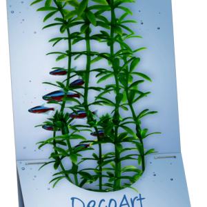 Tetra Anacharis L