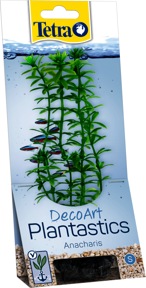 Tetra Anacharis L