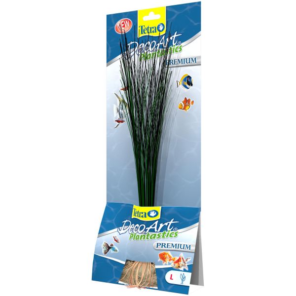 Tetra Hairgrass L