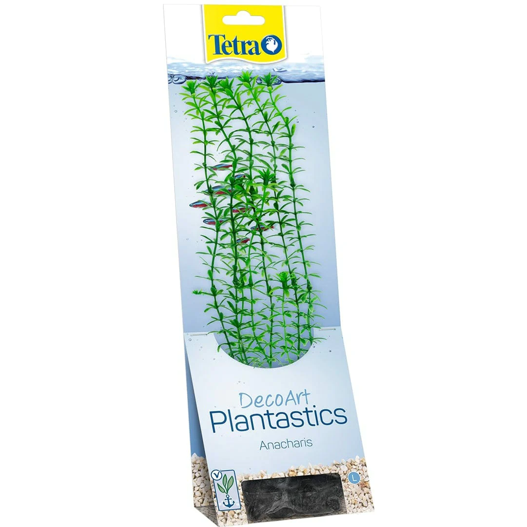 Tetra Anacharis S
