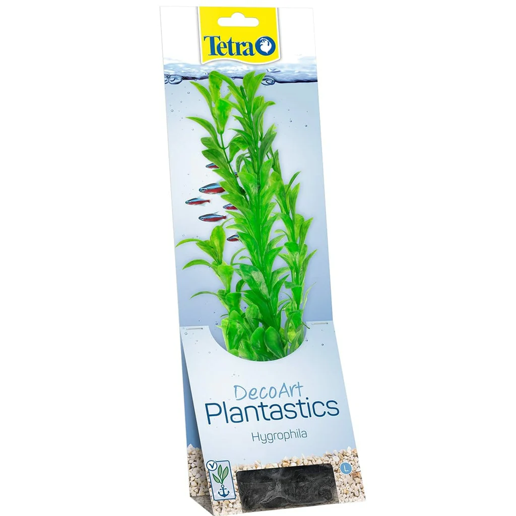 Tetra Hygropila L
