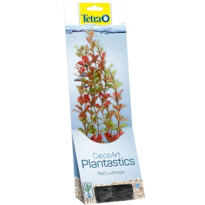 Tetra Red Ludwigia S