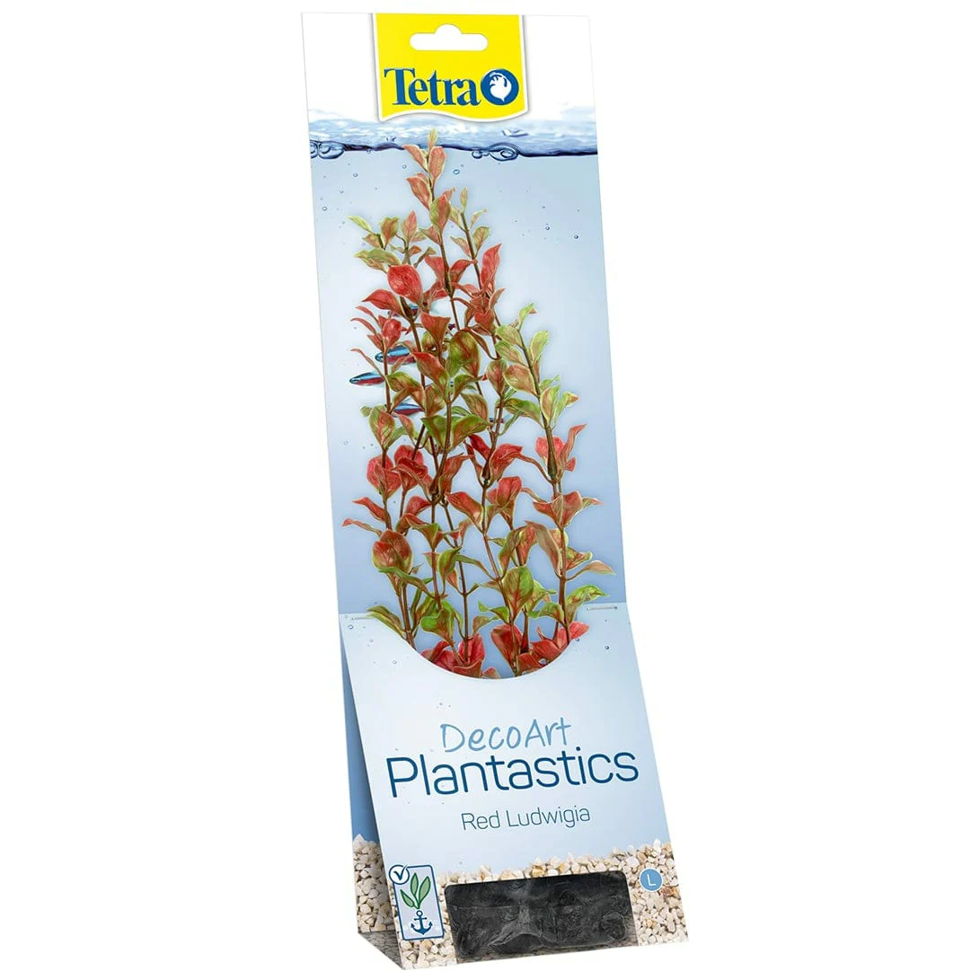 Tetra Red Ludwigia L