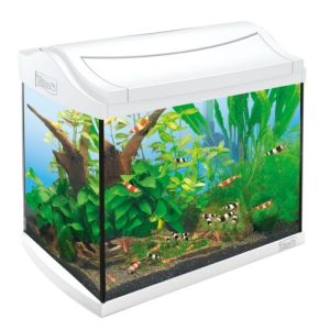 Tetra AquaArt Akvārijs garnelēm 20L (Balts)